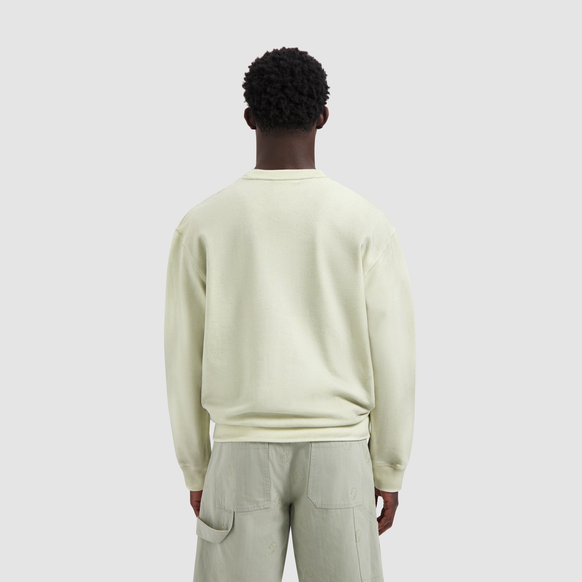 Pigment Spray Crewneck