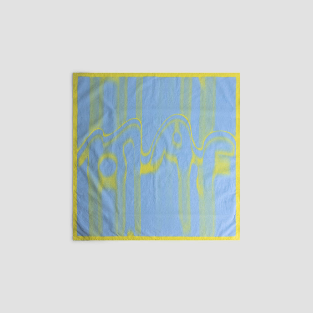 SMUDGE LOGO SCARF | PEAR
